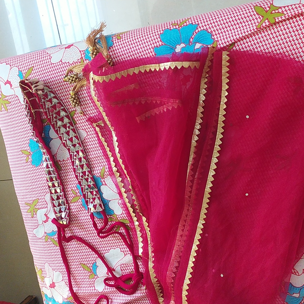Lengha choli - Picture 6 of 6